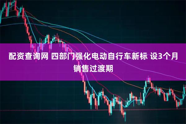 配资查询网 四部门强化电动自行车新标 设3个月销售过渡期