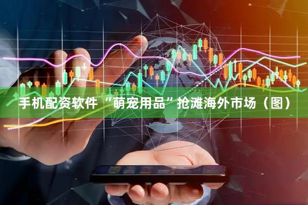 手机配资软件 “萌宠用品”抢滩海外市场（图）