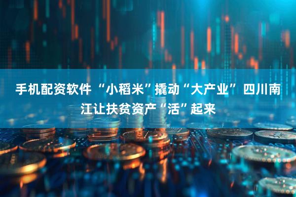 手机配资软件 “小稻米”撬动“大产业” 四川南江让扶贫资产“活”起来